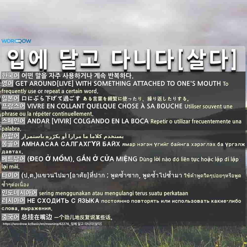 입에 달고 다니다[살다]: (1)GET AROUND[LIVE] WITH SOMETHING ATTACHED TO ONE'S MOUTH  (2)GET AROUND[LIVE] WITH S